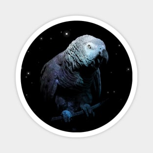 Space Nebula Double Exposure African Grey Parrot Magnet